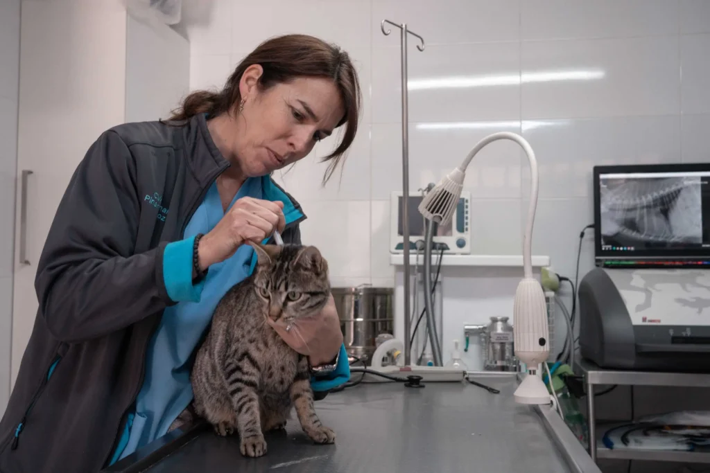 CLINICA VETERINARIA Y PELUQUERIA PERROS Y GATOS